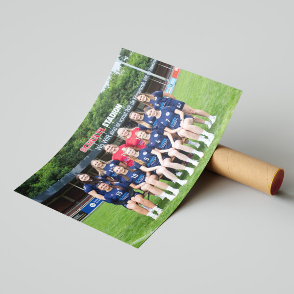 Mannschaftsplakat – Haselünner SV